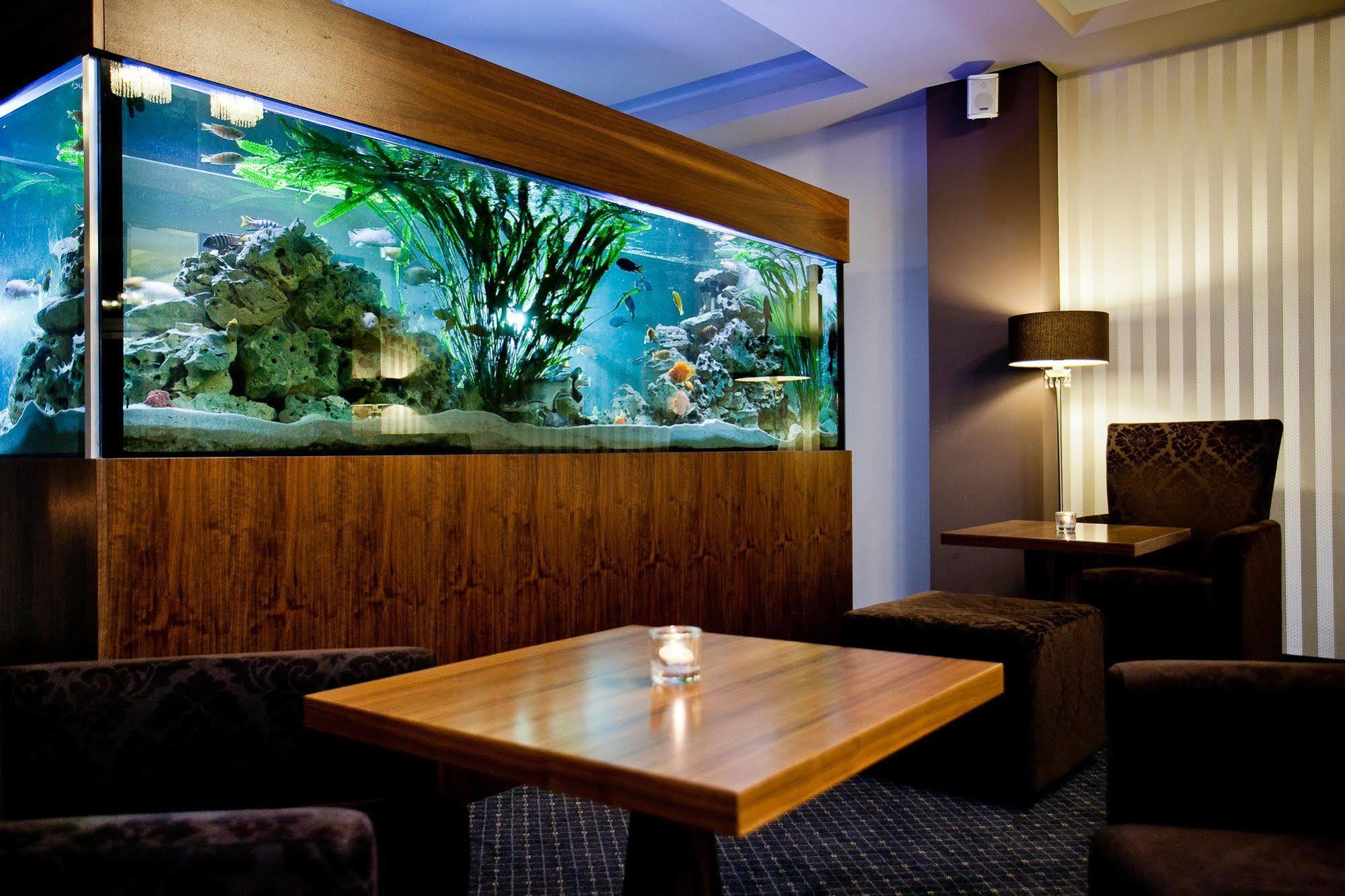 Golden Fish Apartmany Xia 比尔森 外观 照片